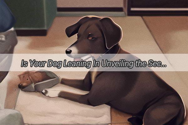 Is Your Dog Leaning In Unveiling the Secret Behind Their LegsClutching Behavior